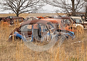 OKEMAH, OK - 2 MAR 2020: Wrecked Volkswagon Beetle cars in a field