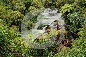 Rapids and Old Power Station, Okere Falls, NZ