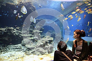 Okinawa Aquarium