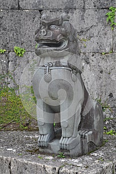 Okinawa Shisa