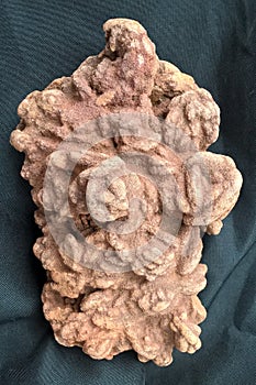 Oklahoma Rose Rocks