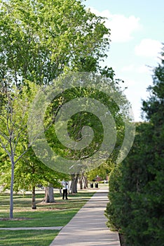 Oklahoma State alley