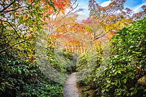 Okochi Sanso Garden