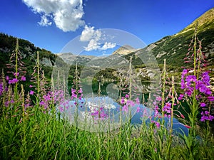 Okoto lake in Pirin National Park