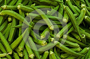 Okra (ladies finger)