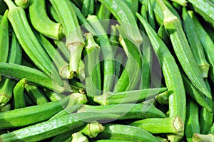 Okra(lady finger) photo