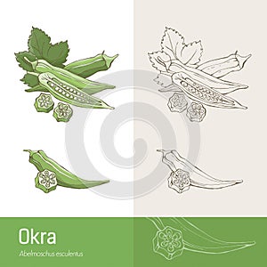 Okra