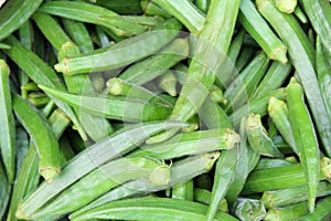 Okra Vegetable