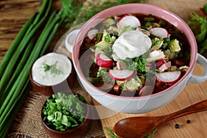 Okroshka with kvass topped with sour cream in a tureen.