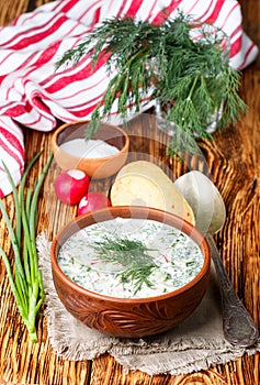 Okroshka. Summer light cold yogurt soup with cucumber, radish, eggs and dill