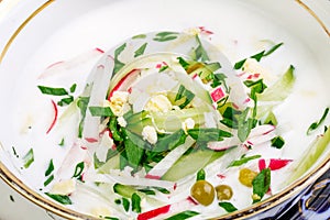 Okroshka - a traditional Russian soup from cucumbers, radishes,