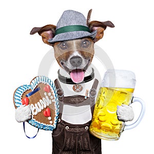 Oktoberfest dog