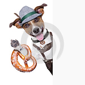 Oktoberfest dog