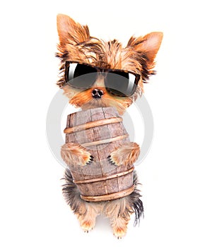 Oktoberfest dog with beer barrel