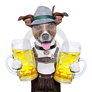 Oktoberfest dog