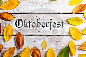 Oktoberfest sign and colorful autumn leaves. White wooden backgr