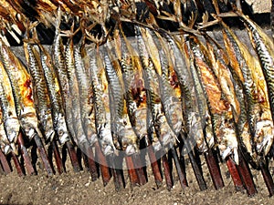 Oktoberfest snack - smoked fish.