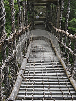 Oku-Iya double vine bridge or Oku-Iya Nijuu Kazura bridge. A suspension bridge made of the plant called Shirakuchikazura.