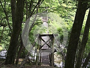 Oku-Iya double vine bridge or Oku-Iya Nijuu Kazura bridge. A suspension bridge made of the plant called Shirakuchikazura.