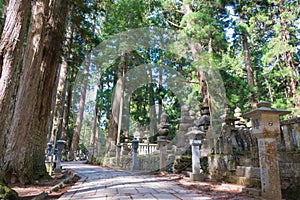 Okunoin Cemetery at Mount Koya in Koya, Wakayama, Japan. Mount Koya is UNESCO World Heritage Site