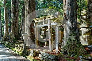 Okunoin Temple with Graveyard Area at Koyasan (Mt. Koya) in Wakayama