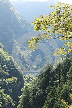 Okutama Mukashi Michi Hike - Japan