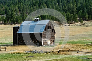 Old abandoned barn set in a green and gold pasture surrounded by trees