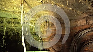 Old abandoned basement with cobwebs hanging from the ceiling, abandoned basement and cobwebs hanging from the ceiling