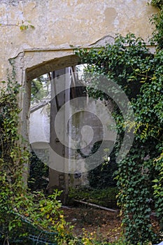 old abandoned building covered with green plants. Haunted house. Boschi di Carrega, Emilia-Romagna, Italy photo