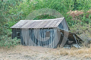 Old Abandoned Building in Forest