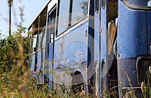 The old abandoned bus in forest