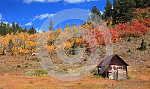 Old abandoned cabin with fall foliage in rural Colorado photo