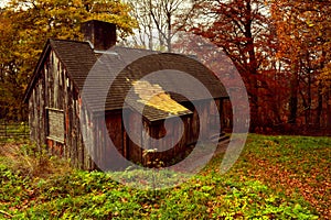 Old Abandoned Cabin in the Woods of Ashridge Estate, Hertfordshire, England in Autimn