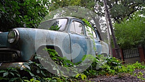 The old abandoned car was overgrown with vegetation