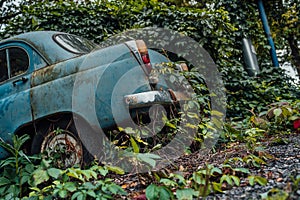 The old abandoned car was overgrown with vegetation