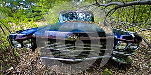 Old Abandoned Car in Woods