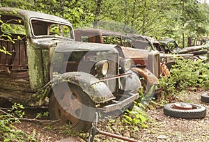 Old abandoned cars at Opal Creek Mining Town.