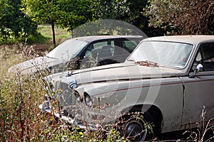 Old Abandoned Cars