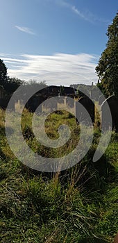 Old abandoned cemetery. Lochmaben. Lockerbie Scotland