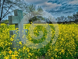 Old abandoned cemetery in spring