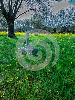 Old abandoned cemetery in spring