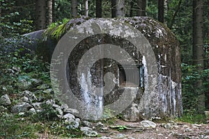 Old abandoned concrete bunker in the forest