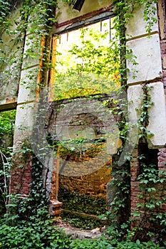 Old abandoned concrete factory structure overtaken by nature / Rusty old ruinous and abandoned building of factory.