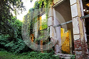 Old abandoned concrete factory structure overtaken by nature / Rusty old ruinous and abandoned building of factory. photo