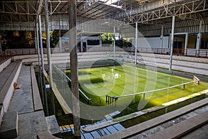 Old abandoned crocodile farm. Interior of an abandoned building.