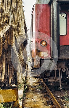 Old abandoned depo train cars for cleaning