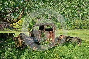 Old Abandoned Farm Truck