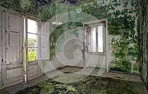 Old abandoned farmhouse with room ruined by green mold