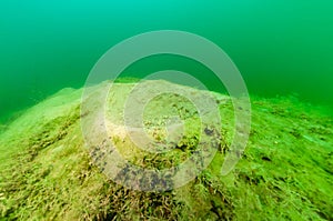 Old abandoned fish spawning bed in a Michigan lake