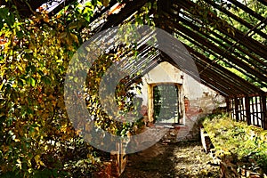 Old abandoned greenhouse building in the castle garden.